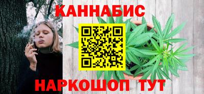 стаф Кинель